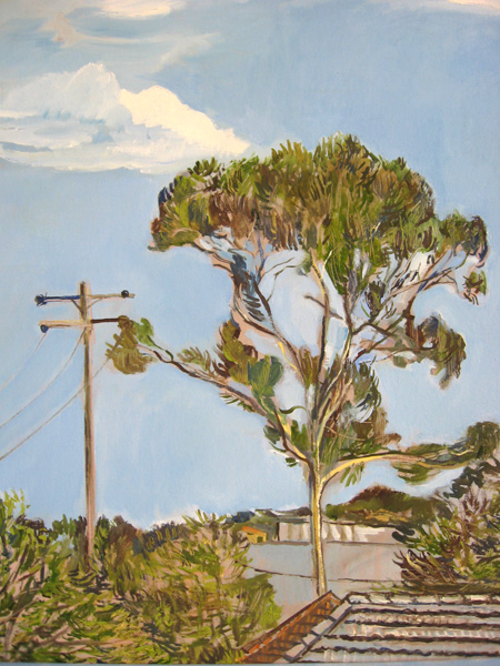 Paintings from Punchbowl and Belmore – Peter Rudd